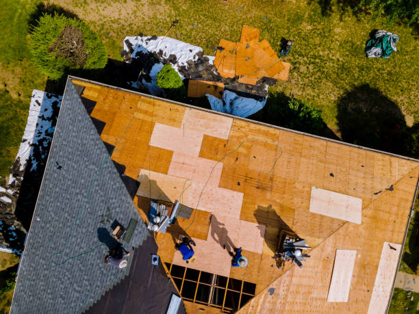 Best Roof Gutter Cleaning  in Clinton, PA